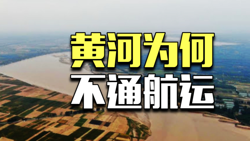 香港最准一肖一特100,海关查获1.2公斤生腌响尾蛇,整体规划执行讲解_铂金版V4.55