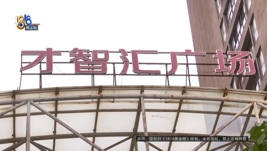 管家婆4肖4码期期中特,武汉新增10条赏樱专线,详细释义解释落实_入门版V3.79