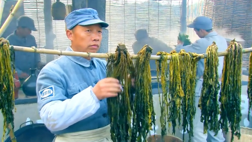 2025年新澳彩资料大全最新,黄焖鸡卧底记者提醒11点前别点外卖,整体规划执行讲解_社交版V1.83