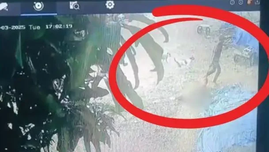 澳门一码一肖一特一中准选今晚一码,民生主题记者会热点全解读,决策资料解释落实_影像版V5.49